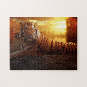 Puzzle Beau tigre