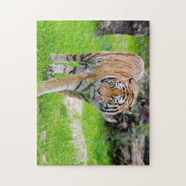 Puzzle Beau tigre (Vertical)