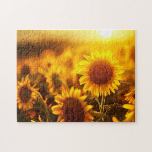 Puzzle beau tournesol de fleur plante au coucher du solei