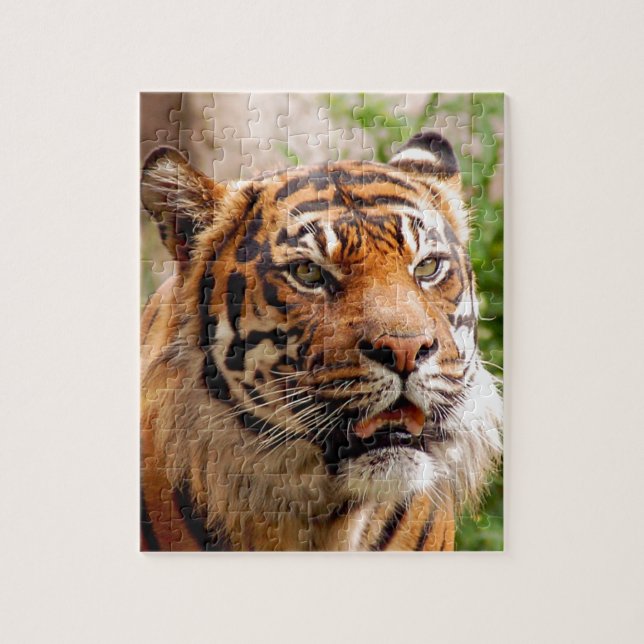 Puzzle Beau visage de tigre (Vertical)