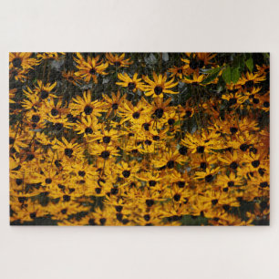 Puzzle Beaucoup De Susans Aux Yeux Noirs