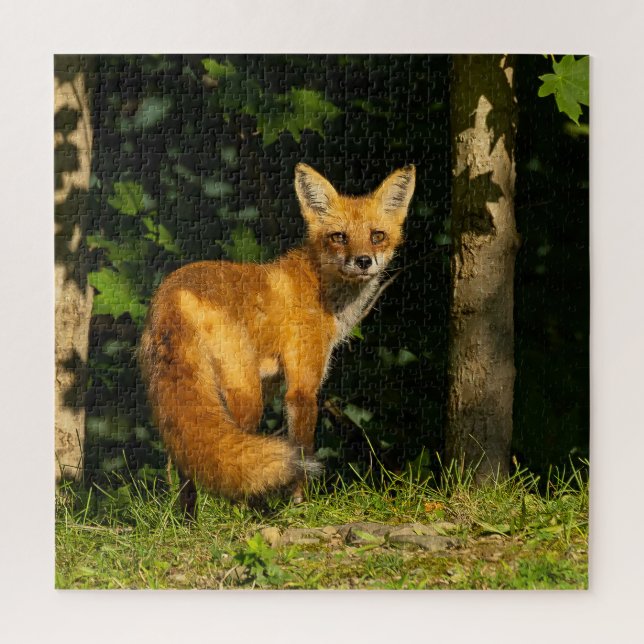 Puzzle Beauté Red Fox (Vertical)