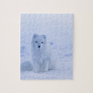Puzzle Beautiful Arctic Fox