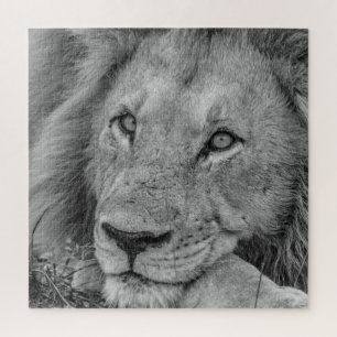 Puzzle Beautiful Black and White Lion Face Photo