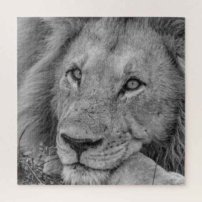 Puzzle Beautiful Black and White Lion Face Photo (Vertical)
