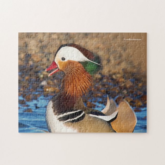 Puzzle Beautiful Chatty Mandarin Duck at the Pond (Horizontal)