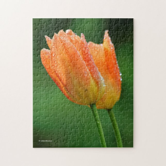 Puzzle Beautiful Dew-Kissed Pastel Orange Tulips (Vertical)