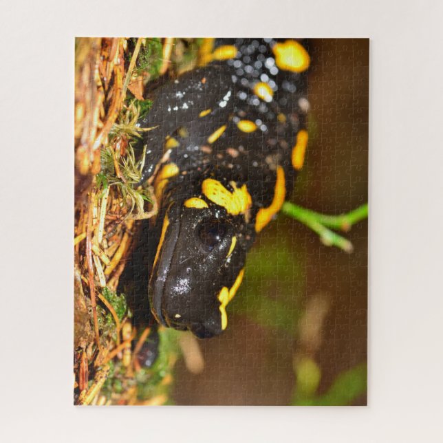 Puzzle Beautiful Fire Salamander (Vertical)