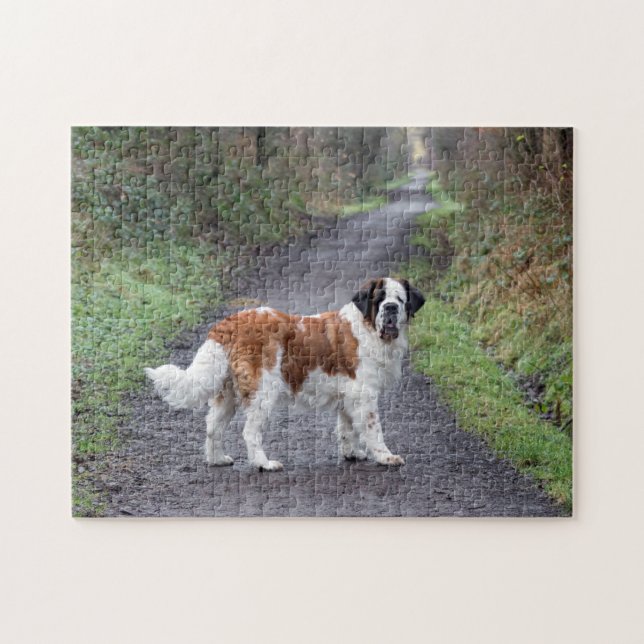 Puzzle Beautiful  Saint Bernard dog (Horizontal)