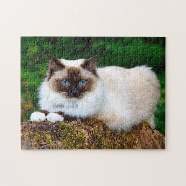 Puzzle Beautiful Siamese Cat (Horizontal)