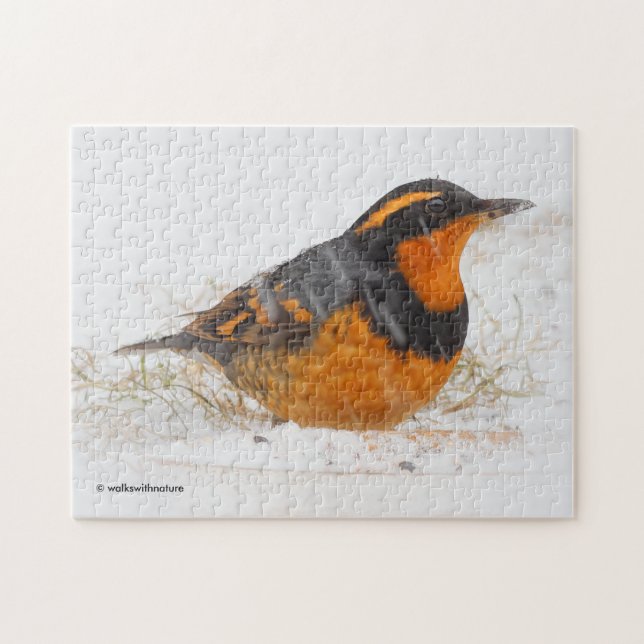 Puzzle Beautiful Varied Thrush Songbird in the Snow (Horizontal)