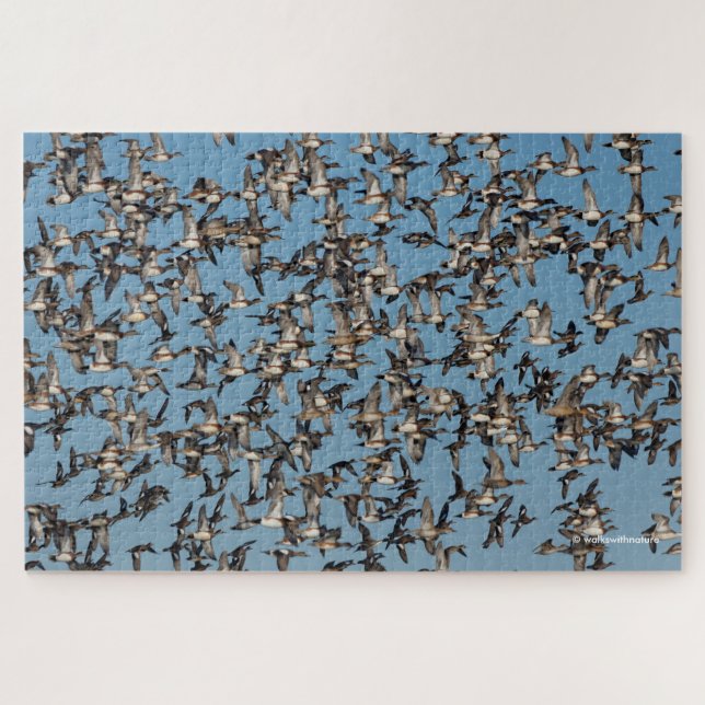 Puzzle Beaux canards d'hiver en vol (Horizontal)