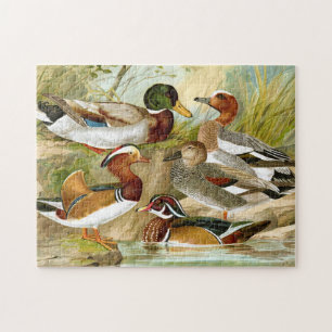 Puzzle Beaux canards Vintages
