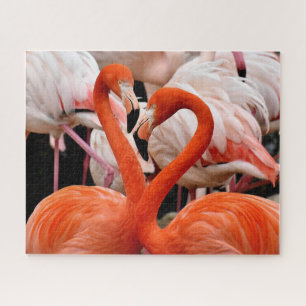 Puzzle Beaux Flamants roses