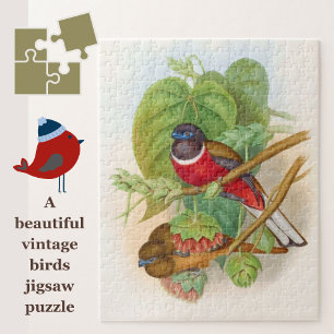 Puzzle Beaux Oiseaux Colorful Illustration Vintage