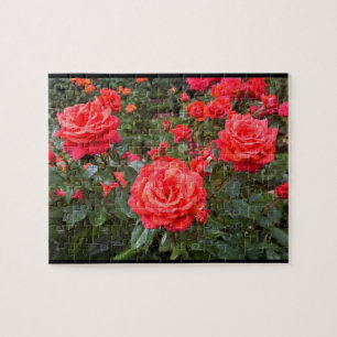 Puzzle Beaux Roses, Portland, Oregon