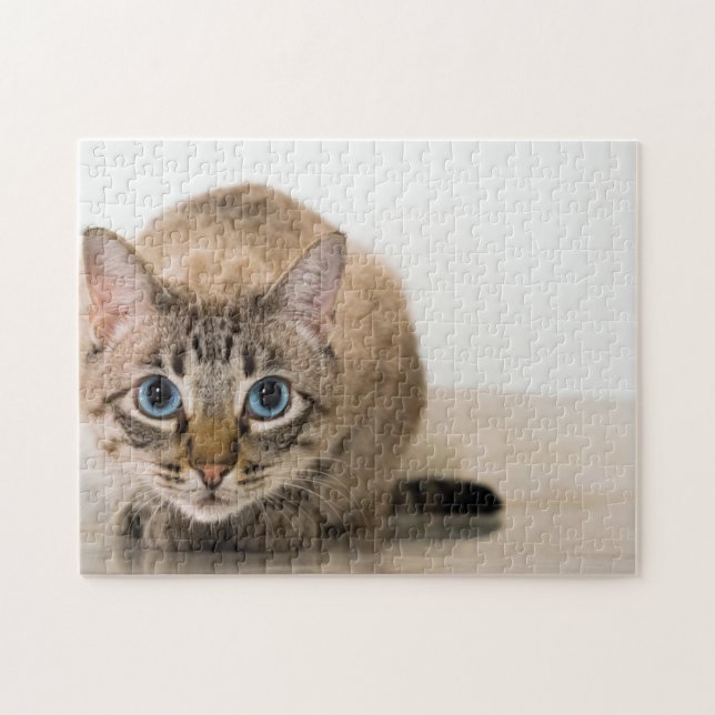 Puzzle Beaux yeux bleu chat croustillant coeur (Horizontal)