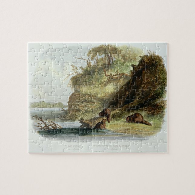 Puzzle Beaver la hutte sur le Missouri, plaquez 17 du (Horizontal)