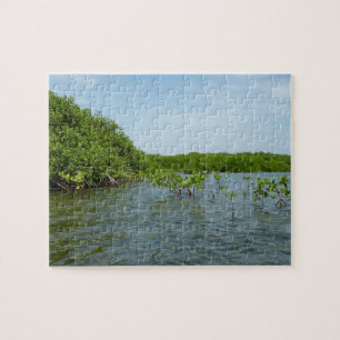 Puzzle Bébé arbres de mangrove Caraïbes Nature