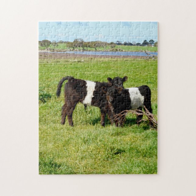 Puzzle Bébé Belted Vaches Galloway Dans Le Pays, (Vertical)