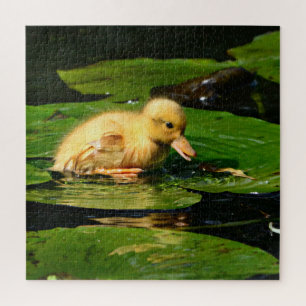 Puzzle Bébé Canard reposant sur Lily Pad
