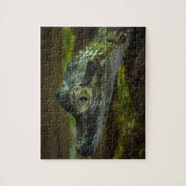 Puzzle Bébé Crocodile nager dans l'eau (Vertical)