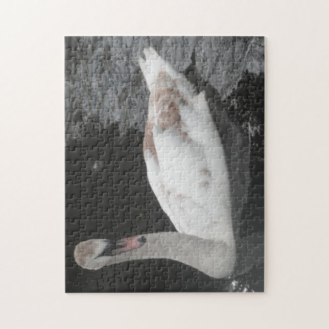 Puzzle Bébé Cygne Nageant (Vertical)