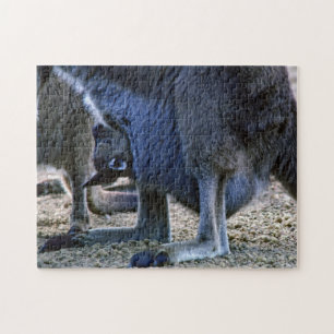 Puzzle Bébé kangourou dans la poche de sa mère - Australi