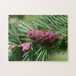 Puzzle Bébé Miniature Pine Cônes Nature