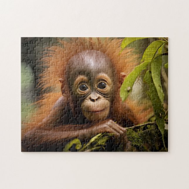 Puzzle Bébé Orangoutan mignon (Horizontal)