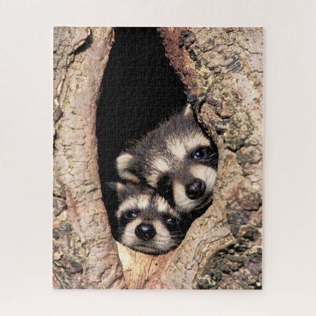 Puzzle Bébé Raccoons se jetant dans l'arbre (Vertical)