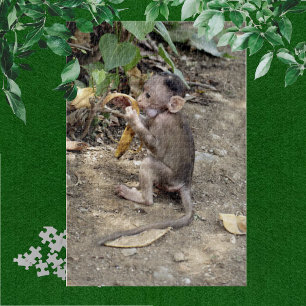 Puzzle Bébé singe