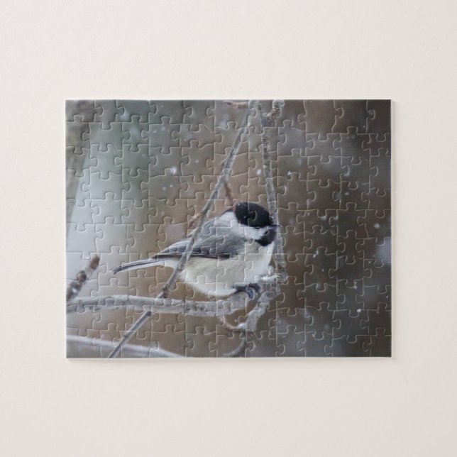 Puzzle Bécasseau noir - Songbird (Horizontal)