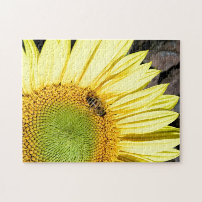 Puzzle Bee On Sunflower Close Up Photographie (Horizontal)