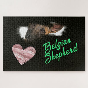 Puzzle Belge Shepherd Eyes Solid Color 1000 pièce