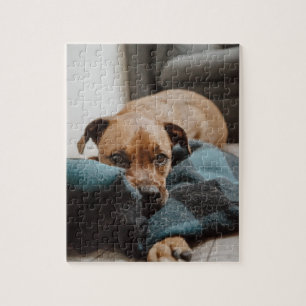 Puzzle Belgian Malinois Boxer   Puppy on Blanket Photo