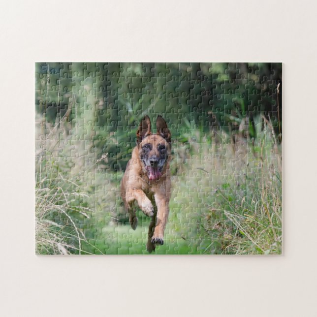 Puzzle Belgian Malinois Running (Horizontal)