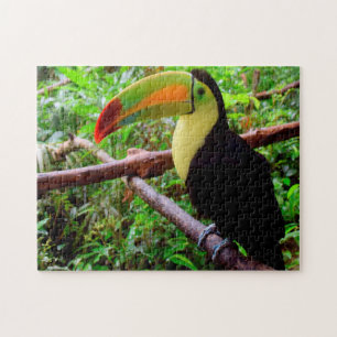Puzzle Belize Tucon Birds.