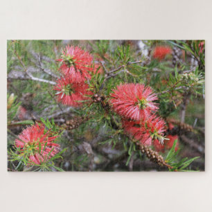 Puzzle Belle brosse à bouteilles australienne rose foncé