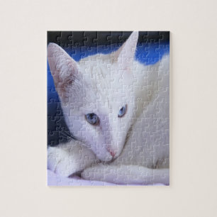 Puzzle Belle Chat blanc / Ajouter la photo de votre anima