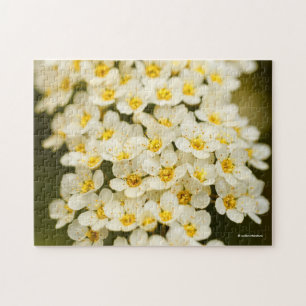 Puzzle Belle couronne nuptiale Spiraea