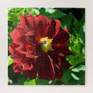 Puzzle Belle dahlia rouge