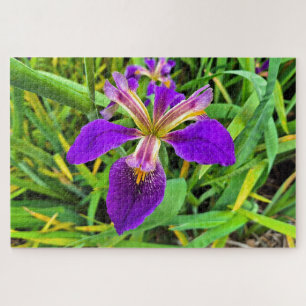 Puzzle Belle fleur d'iris violet en fleur