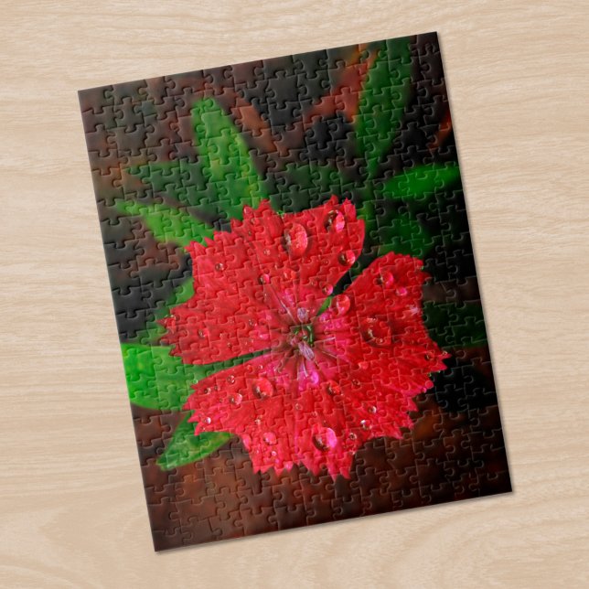 Puzzle Belle Fleur Rouge Dianthus Avec Raindrops Photo (Beautiful Red Dianthus Flower With Raindrops Photo Jigsaw Puzzle in situ)