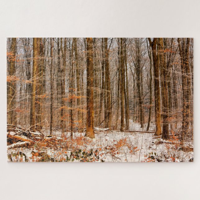 Puzzle Belle forêt d'hiver avec la neige (Horizontal)