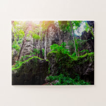 Belle forêt viticole