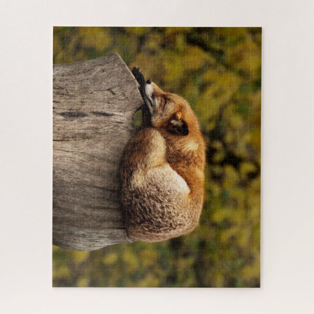 Puzzle Belle Fox dormant sur une souche d'arbre (Vertical)
