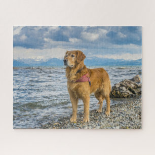 Puzzle Belle Golden Retriever Dog Beach Photo