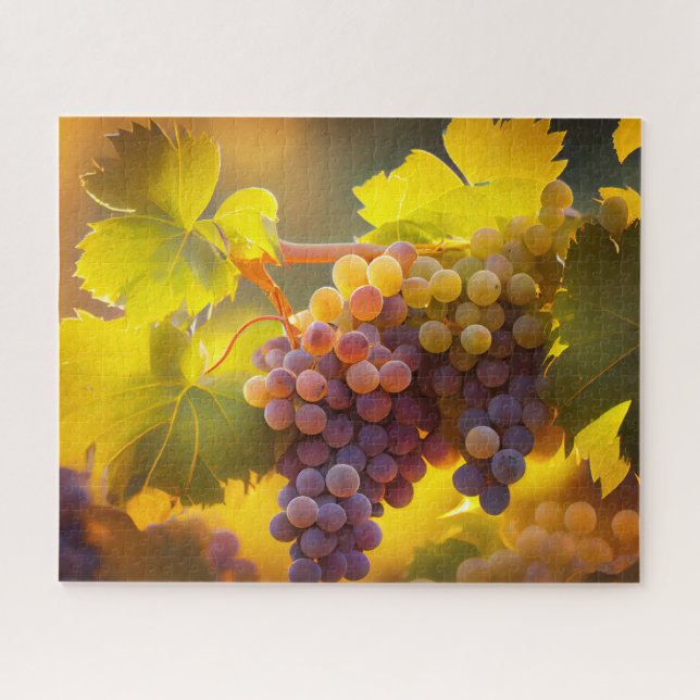 Puzzle Belle lumière du soleil sur les raisins de vignobl (Horizontal)