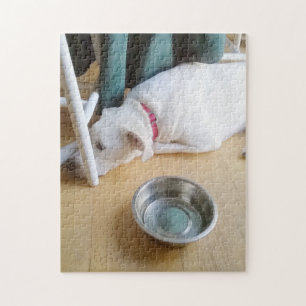 Puzzle Belle Mignonne Chiot Blanc Caché Sous Chaise